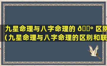 九星命理与八字命理的 🌺 区别（九星命理与八字命理的区别和联系）